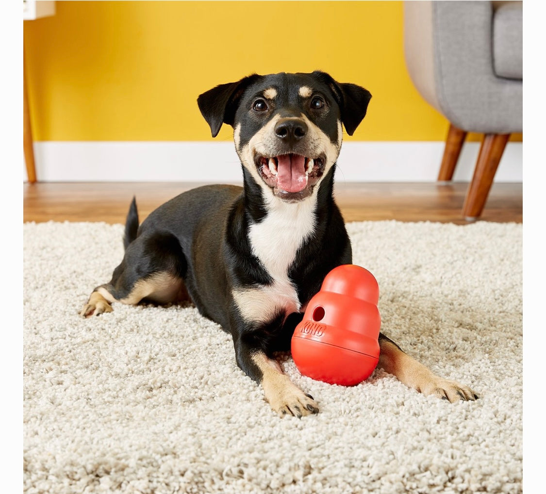 KONG Wobbler Dog Toy, Small