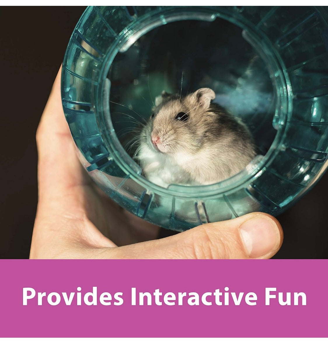 Kaytee 5" blue Color Run-About Exercise Ball For Pet Dwarf Hamsters & Mice