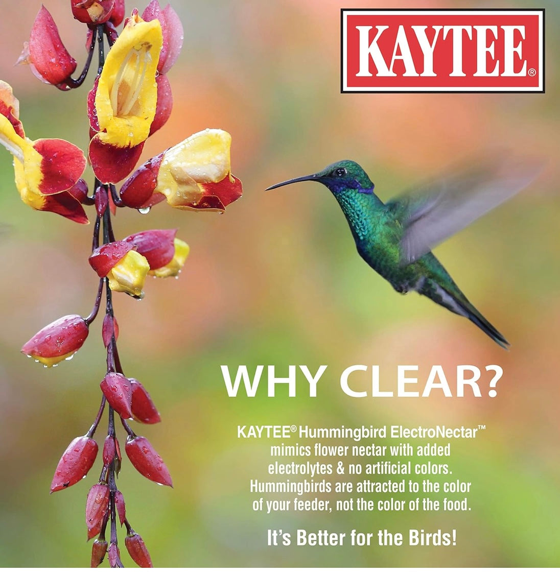 Kaytee Hummingbird ElectroNectar Wild Bird Food, Concentrate, 16 Ounces