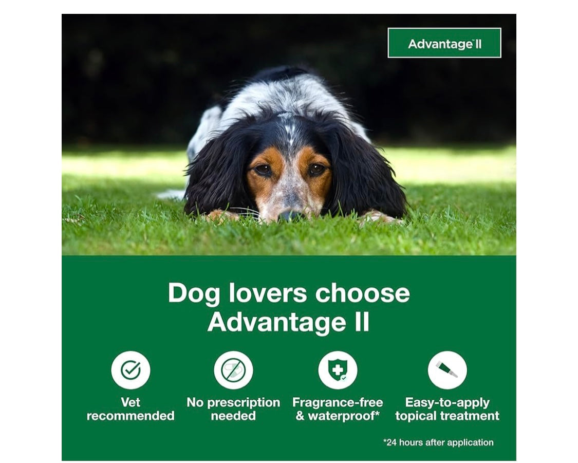 Advantage II Medium Dog Vet-Recommended Flea Treatment & Prevention | Dogs 11-20 lbs. | 4-Month Supply