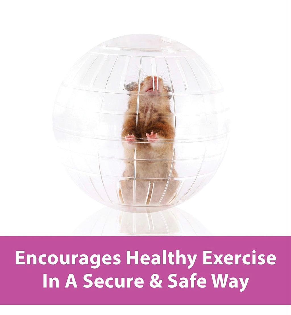 Kaytee 11.5" Clear Run-About Exercise Ball For Pet Rats & Chinchillas
