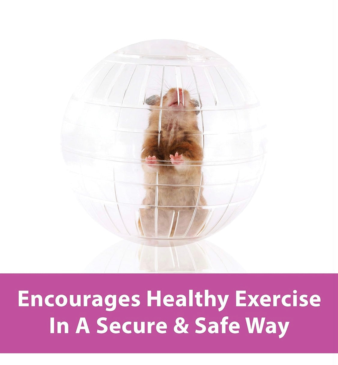 Kaytee 11.5" Clear Run-About Exercise Ball For Pet Rats & Chinchillas