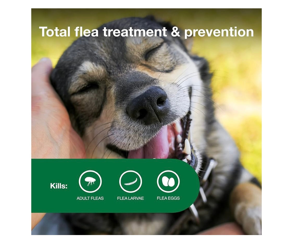 Advantage II Medium Dog Vet-Recommended Flea Treatment & Prevention | Dogs 11-20 lbs. | 4-Month Supply