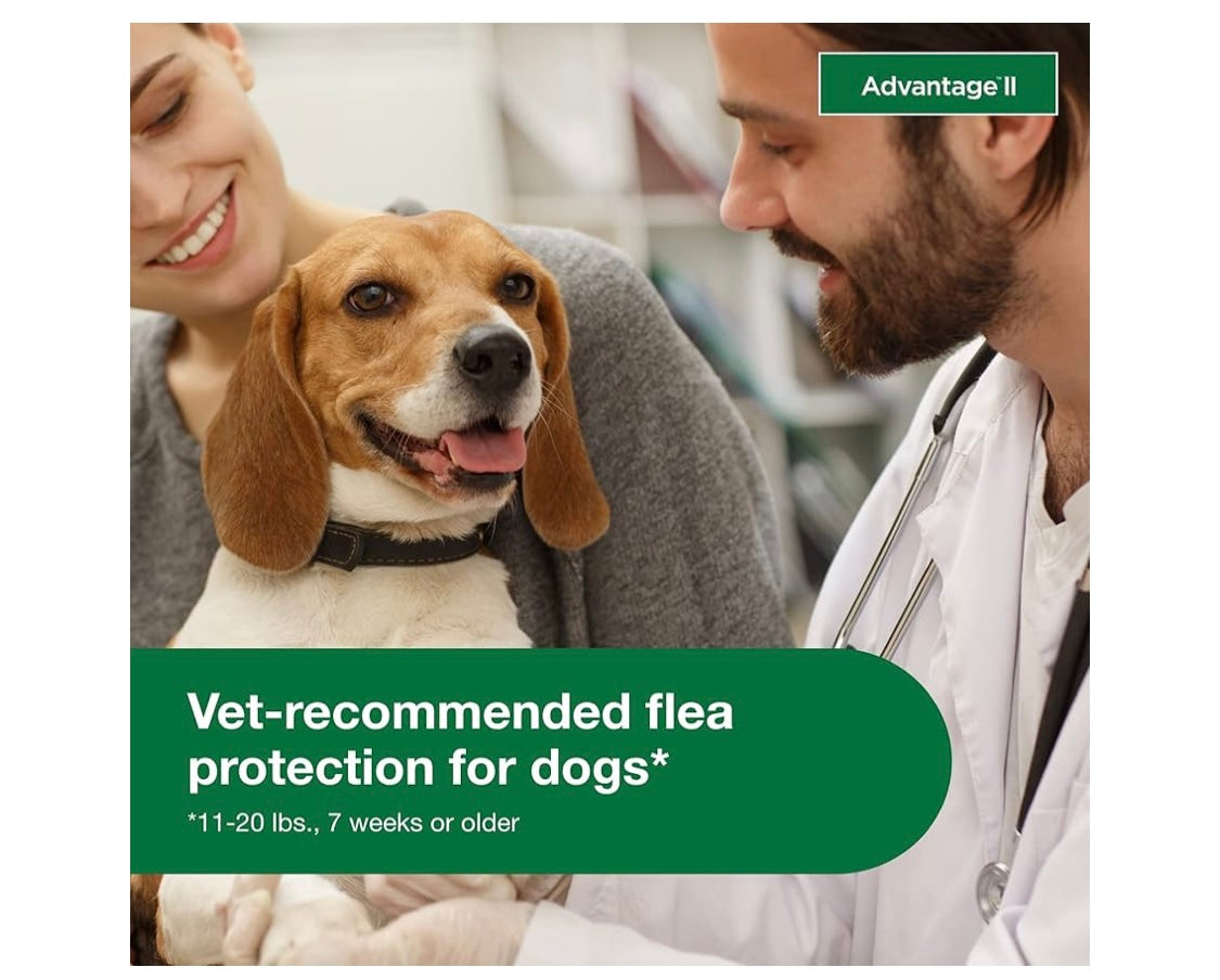 Advantage II Medium Dog Vet-Recommended Flea Treatment & Prevention | Dogs 11-20 lbs. | 4-Month Supply