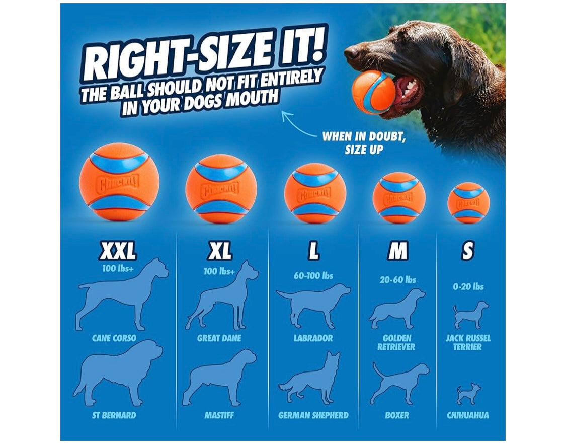 Chuckit! Ultra Ball Dog Toy, Balls for Dogs to Fetch, Durable Rubber, Small 2-inch, Pack of 2