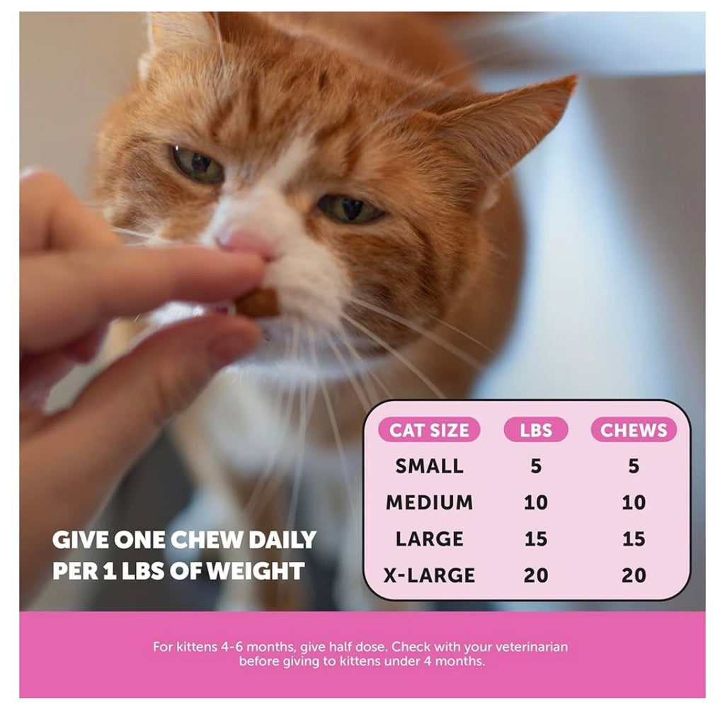 Pet Honesty Cat Multivitamin Crunchy & Creamy Chews - Cat Treats for Health + Immune, Joint Support, Skin & Coat, & Digestion - Vitamins with Omega 3s, Lysine & Probiotics (30 Day Supply)