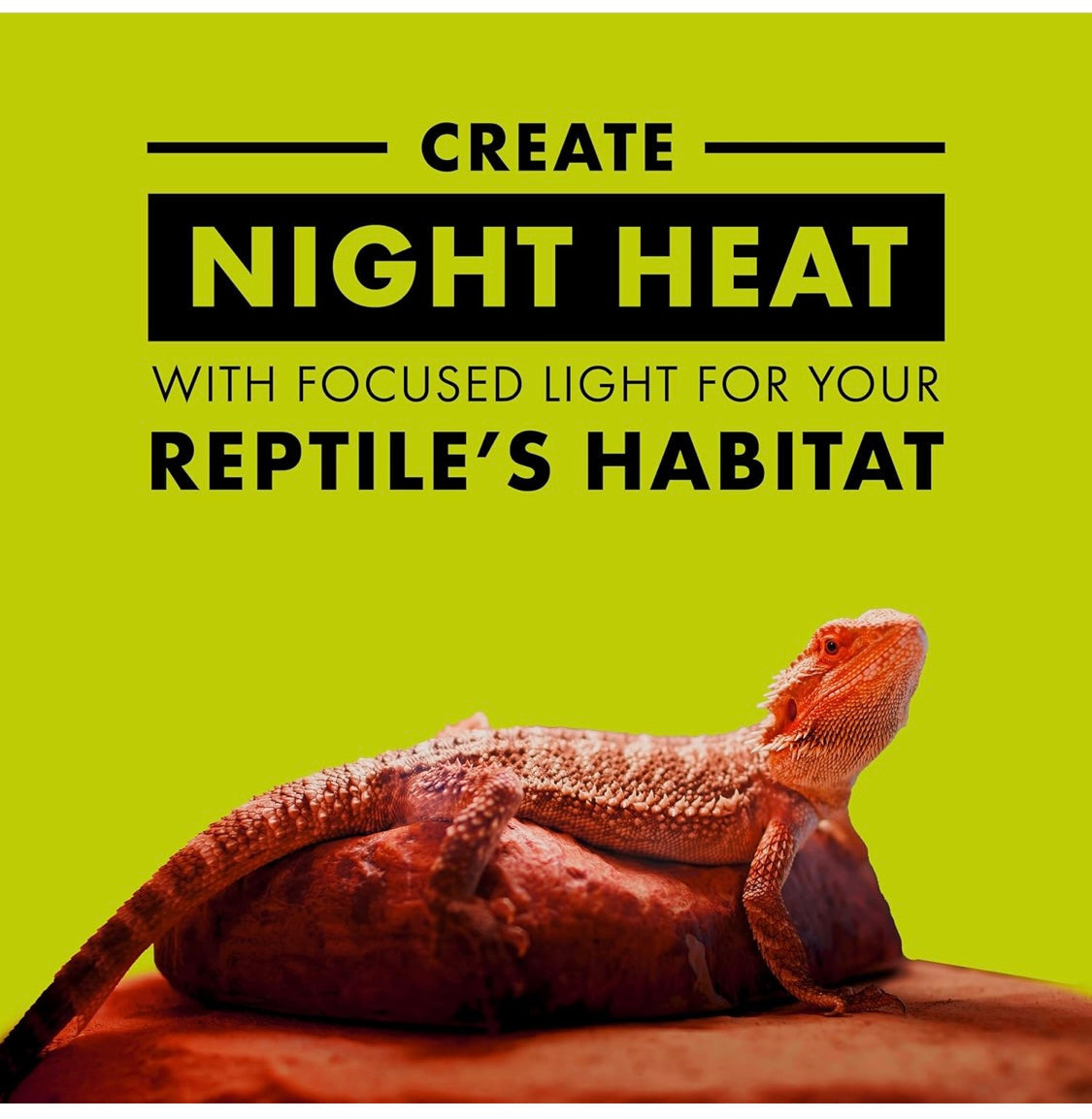 Zilla Incandescent Spot Bulb, for Nocturnal Reptile Species, Night Red 75 w