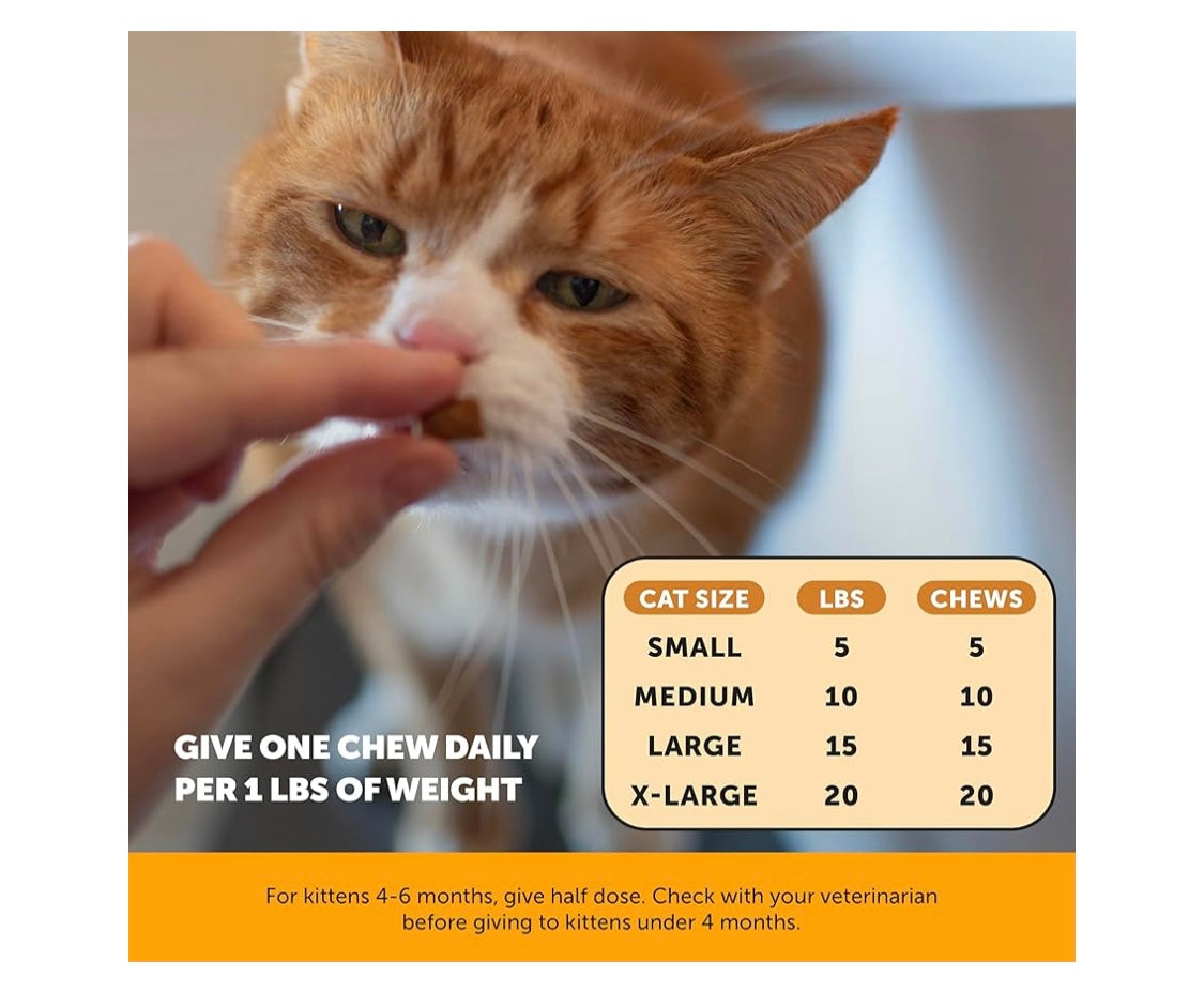 Pet Honesty Cat Immune Support Lysine - Cat Allergy Relief - Sneezing, Runny Nose, Watery Eyes - Cat Supplements & Vitamins with Omega 3s, L-Lysine, Antioxidants, Colostrum - Chicken (30 Day Supply)
