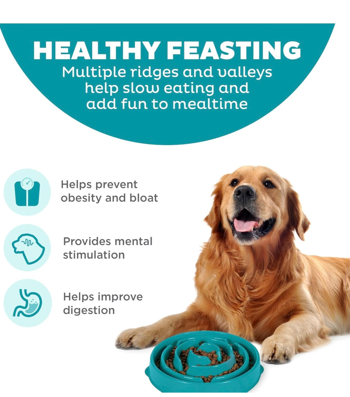 Outward Hound Fun Feeder Slo Bowl, Slow Feeder Dog Bowl, Large/Regular, Turquoise