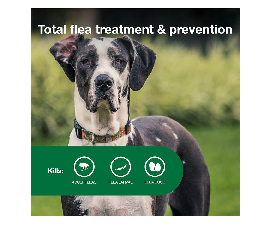 Advantage II XL Dog Vet-Recommended Flea Treatment & Prevention | Dogs Over 55 lbs. | 4-Month Supply