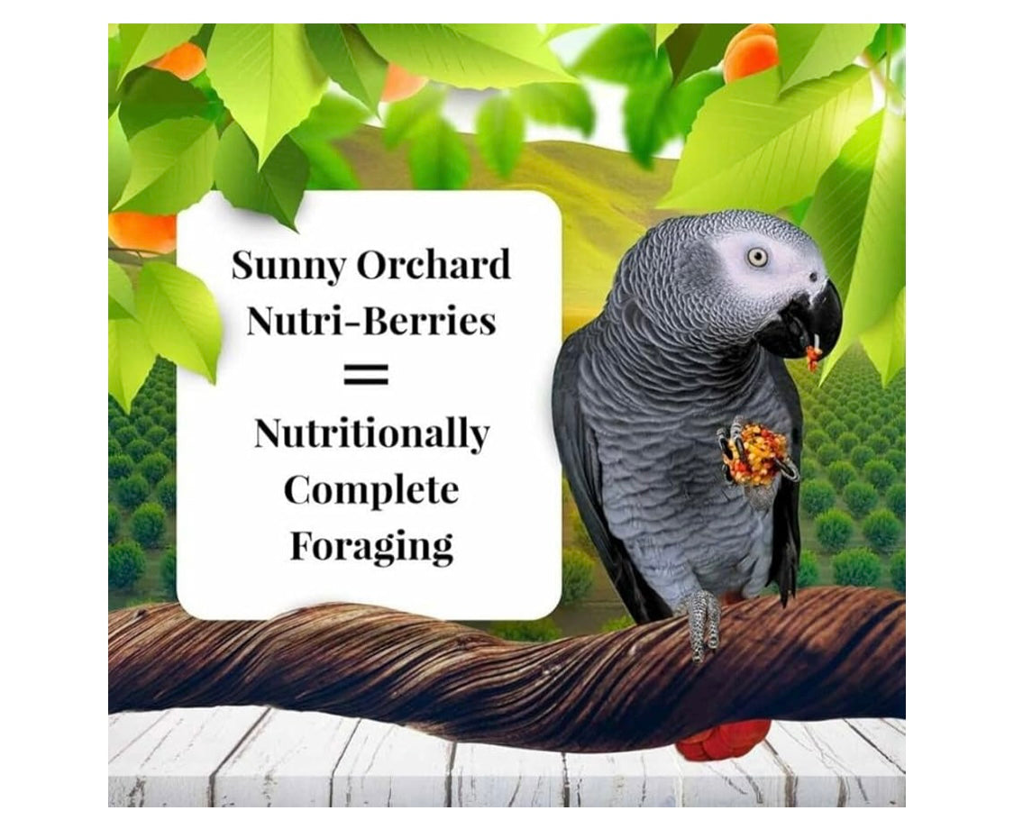LAFEBER'S Sunny Orchard Nutri-Berries Pet Bird Food, Made with Non-GMO and Human-Grade Ingredients, for Parrots, 3 lb