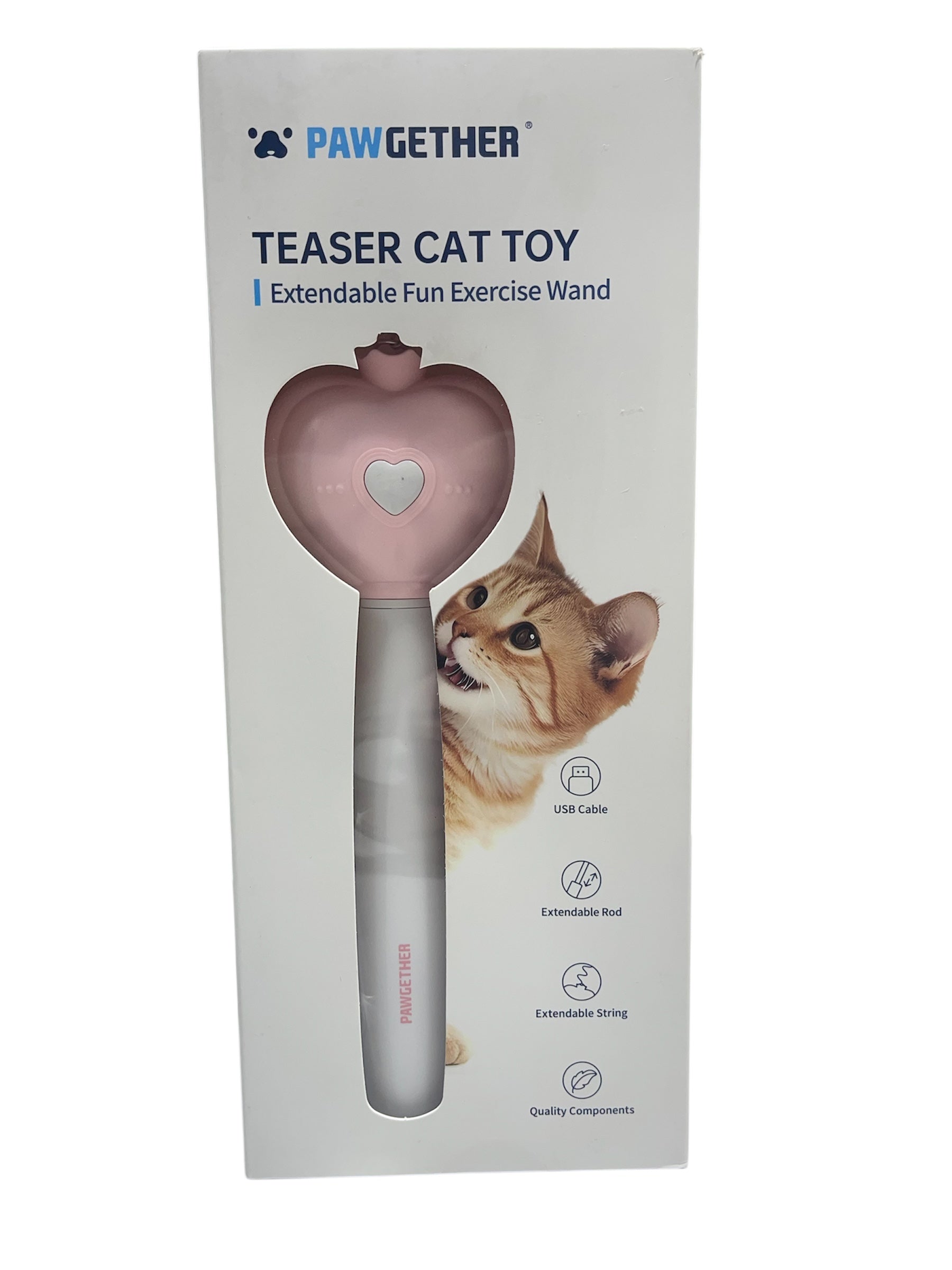 teaser cat toy