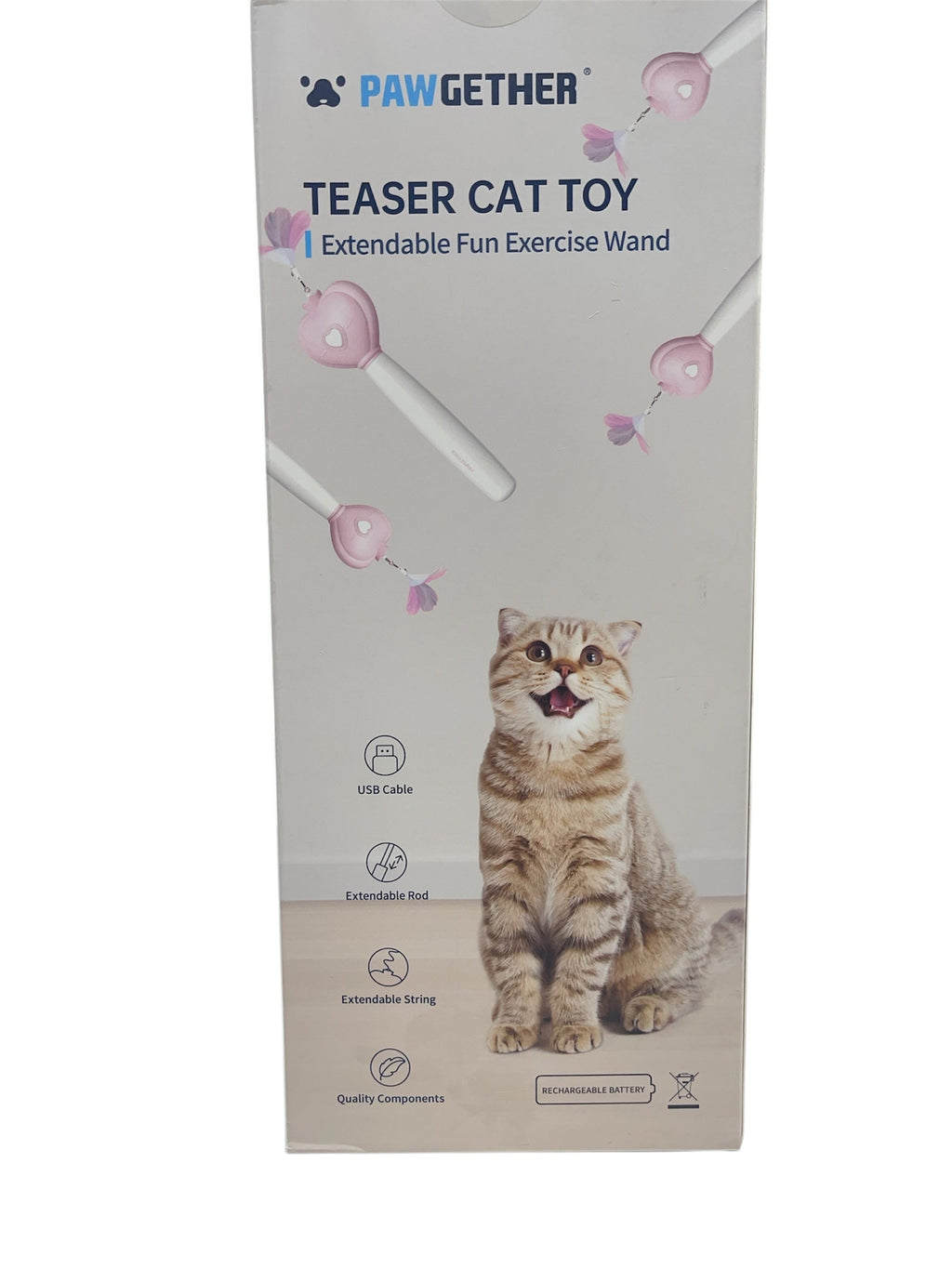 teaser cat toy