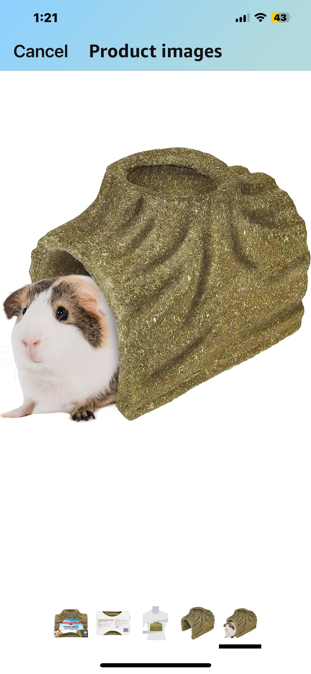 Kaytee Premium Timothy Treat Hideout For Pet Rabbits, Guinea Pigs, and Chinchillas, Large